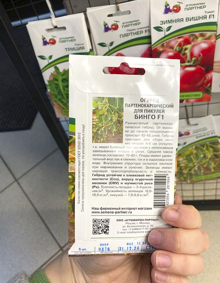 Огурец партенокарпический Бинго F1 